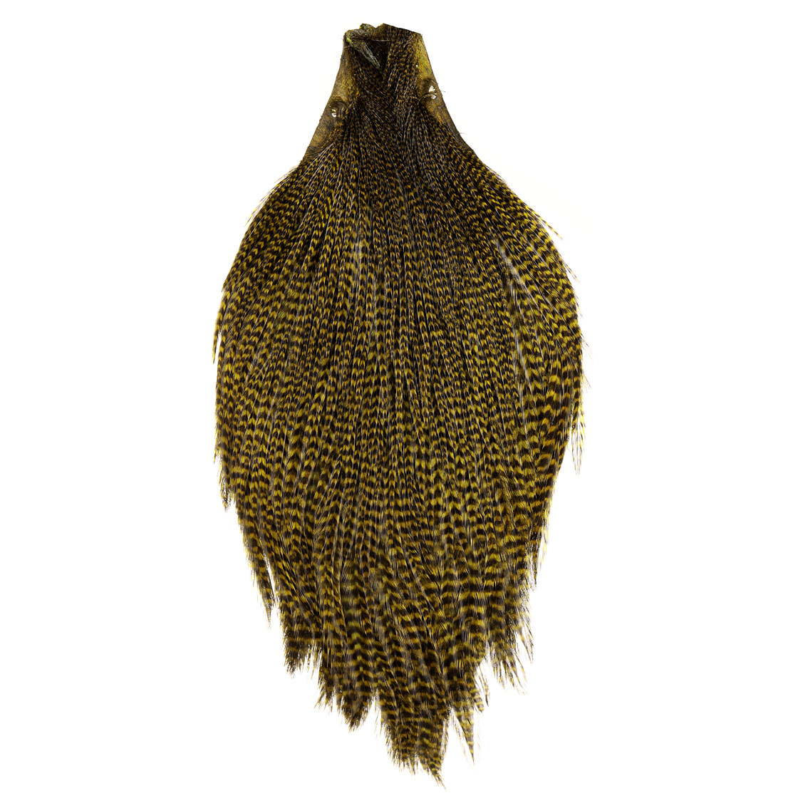 grizzly dyed olive