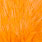 white dyed shrimp orange