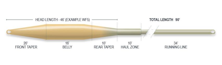 P-28947_Airflo_Ridge_2-0_Superflo_Tactical_Taper_Trout_Floating_Fliegenschnur_Bamboo_Watery_Olive_3