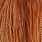 barred dark ginger