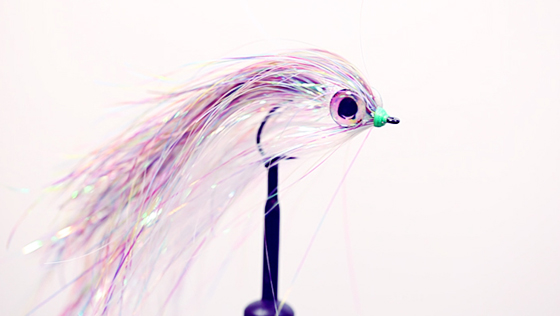 Bindevideo: Goggle Eye Streamer