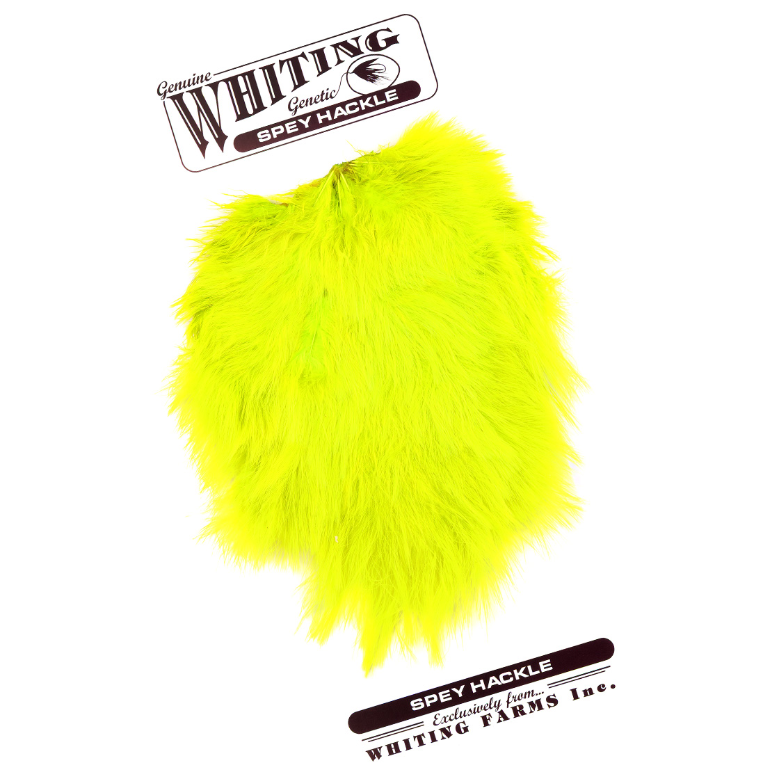 white dyed fluo yellow chartreuse