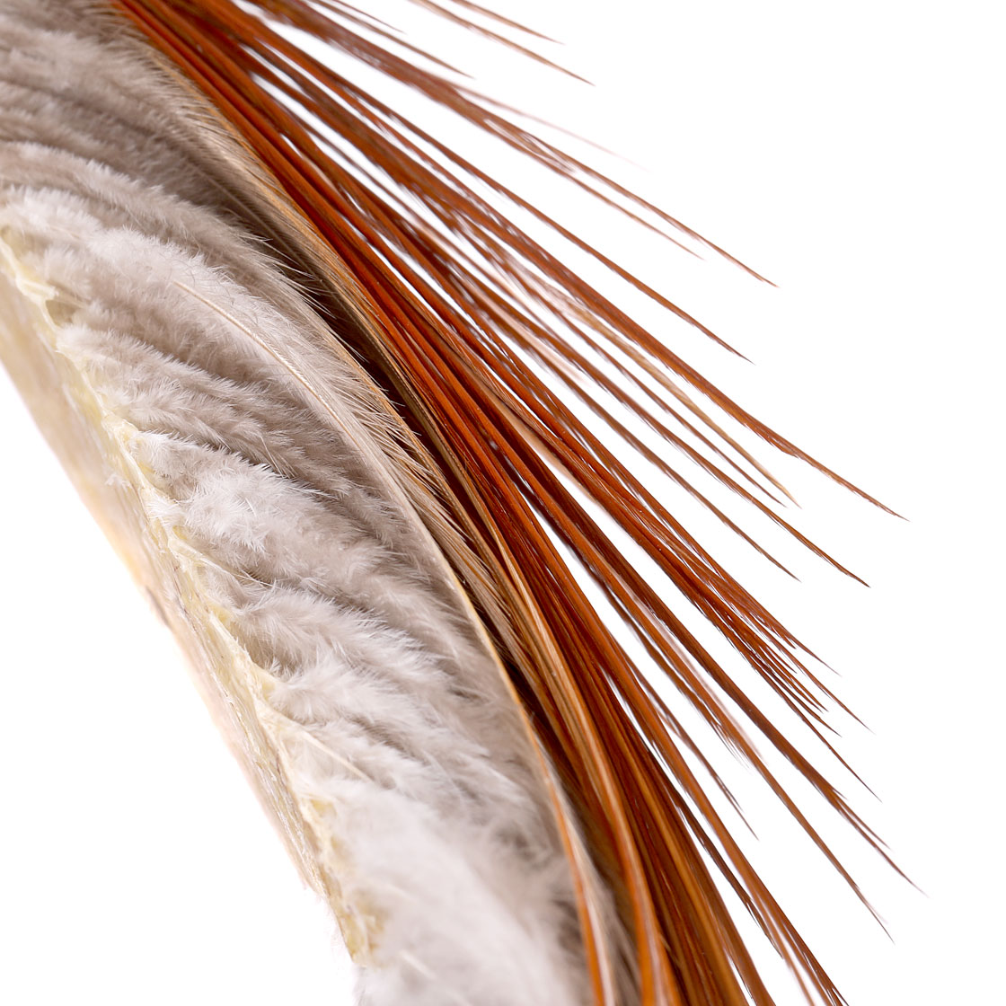 P-25397_Whiting-Introductory-Hackle-Pack-Four-1_2-Capes_detail_1