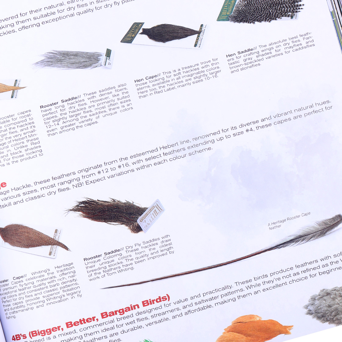 P-29424_FlyFish-Europe-Katalog-No-14-2025_detail_3