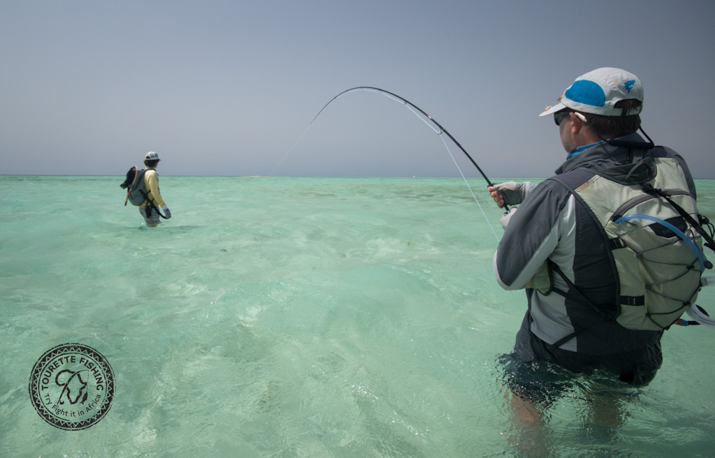 sudan2015-37 - Fliegenfischen auf den Nubischen Flats