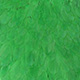 white dyed highlander green