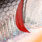 prism shad