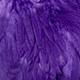 white dyed purple
