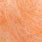 shrimp orange