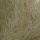 grey olive