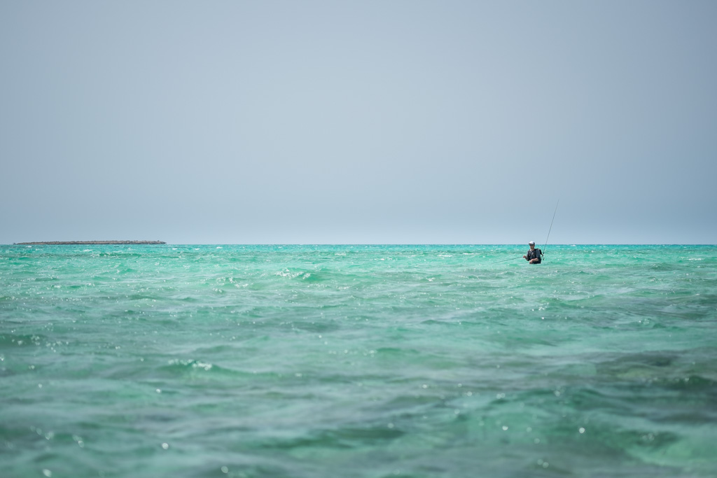 sudan2015-41 - Fliegenfischen auf den Nubischen Flats