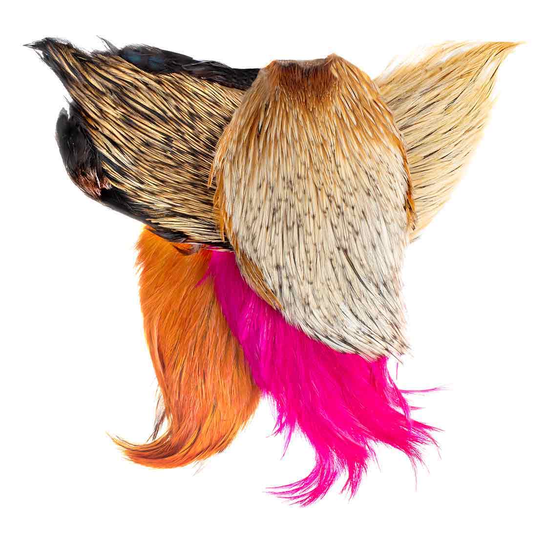 P-07552-Fly-Scene-Hahnen-Balg-Cape-Titel_neu Fly Scene Hahnen Balg / Cape