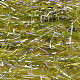 bright yellow olive