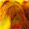 TSR 5 orange/brown over fluo yellow chartreuse