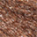 bronze back