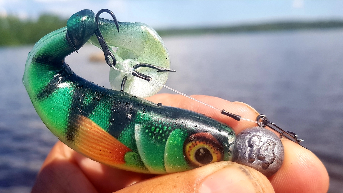 Storm_Hit_Shad_2 Storm Hit Shad