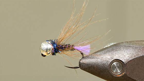 Bindevideo Purple Glo Brite Pheasant Tail Jig