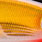 gold shad