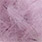 32 violet