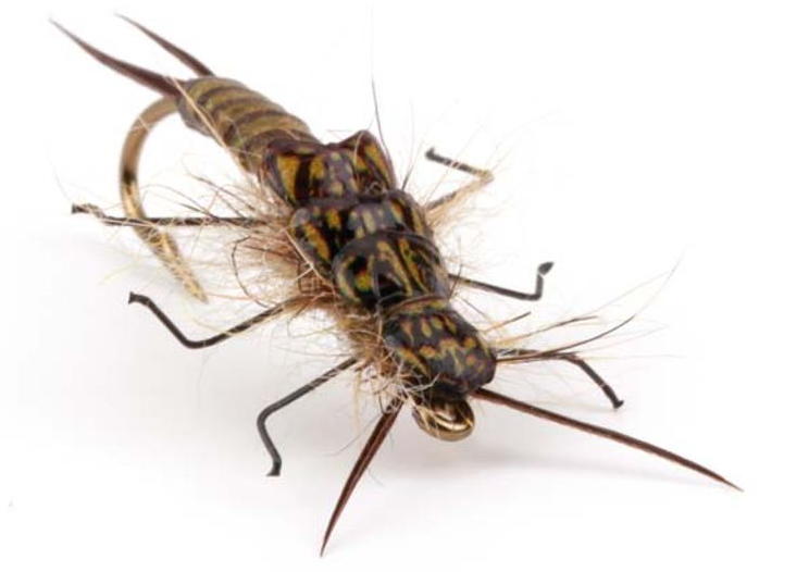 P-27716_Pro-Sportfisher_StoneFly_Back_5 Bindebeispiel