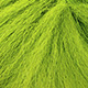 chartreuse yellow