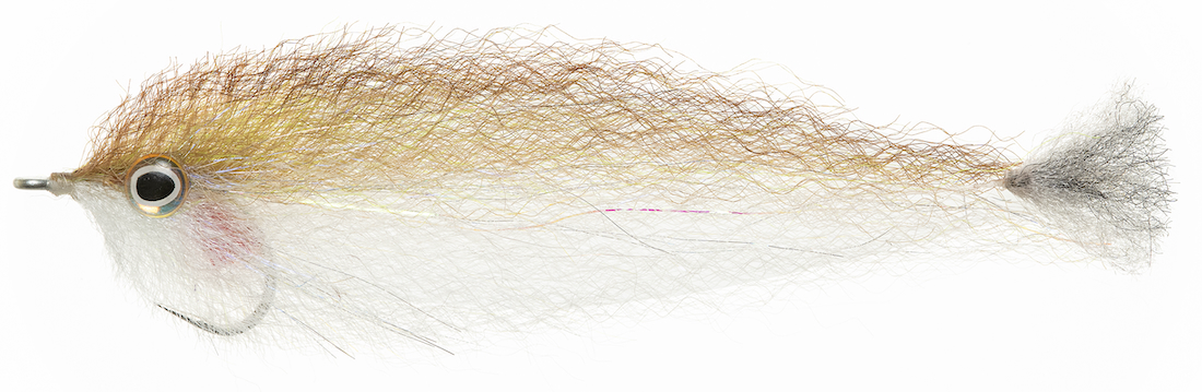 P-28713_Enrico_Puglisi_Pacific_Sardina_ Enrico Puglisi PACIFIC SARDINA - #4/0