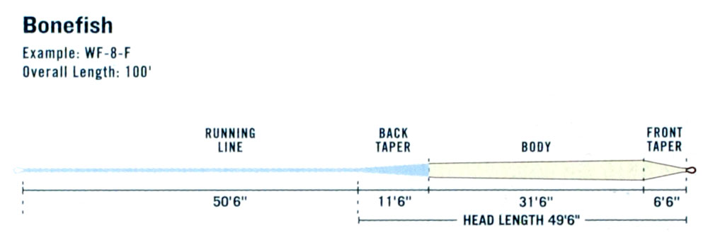 rio_bonefish-fly-line-taper