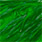 highlander green
