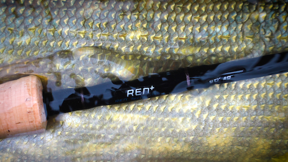 Wir testen: Nam REN+ Salt Fliegenrute
