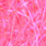 41 fluo pink