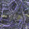 dark gray olive