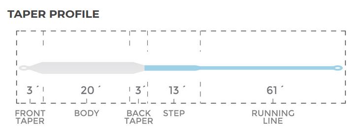 cortland_compact_int_taper Compact Intermediate Taper