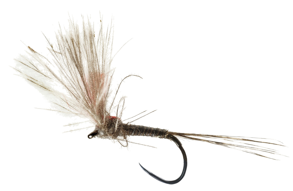 Soldarini Trockenfliege - Special Quill Sulphur Hi-Viz CDC
