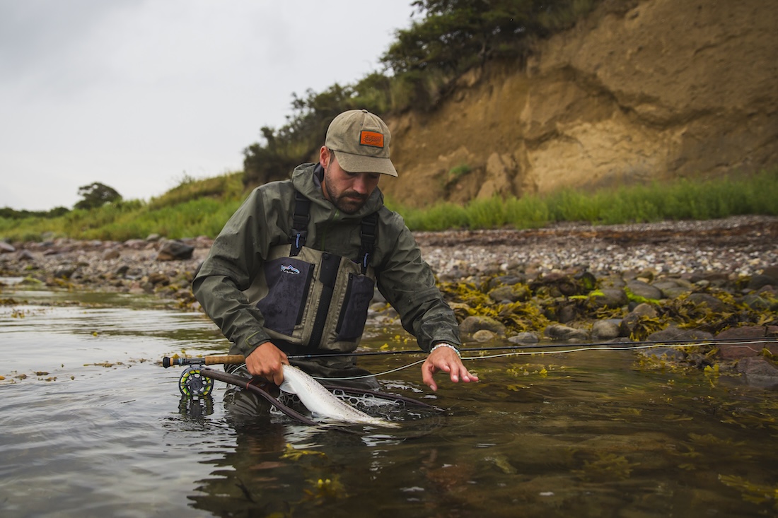 Meerforelle mit Martin