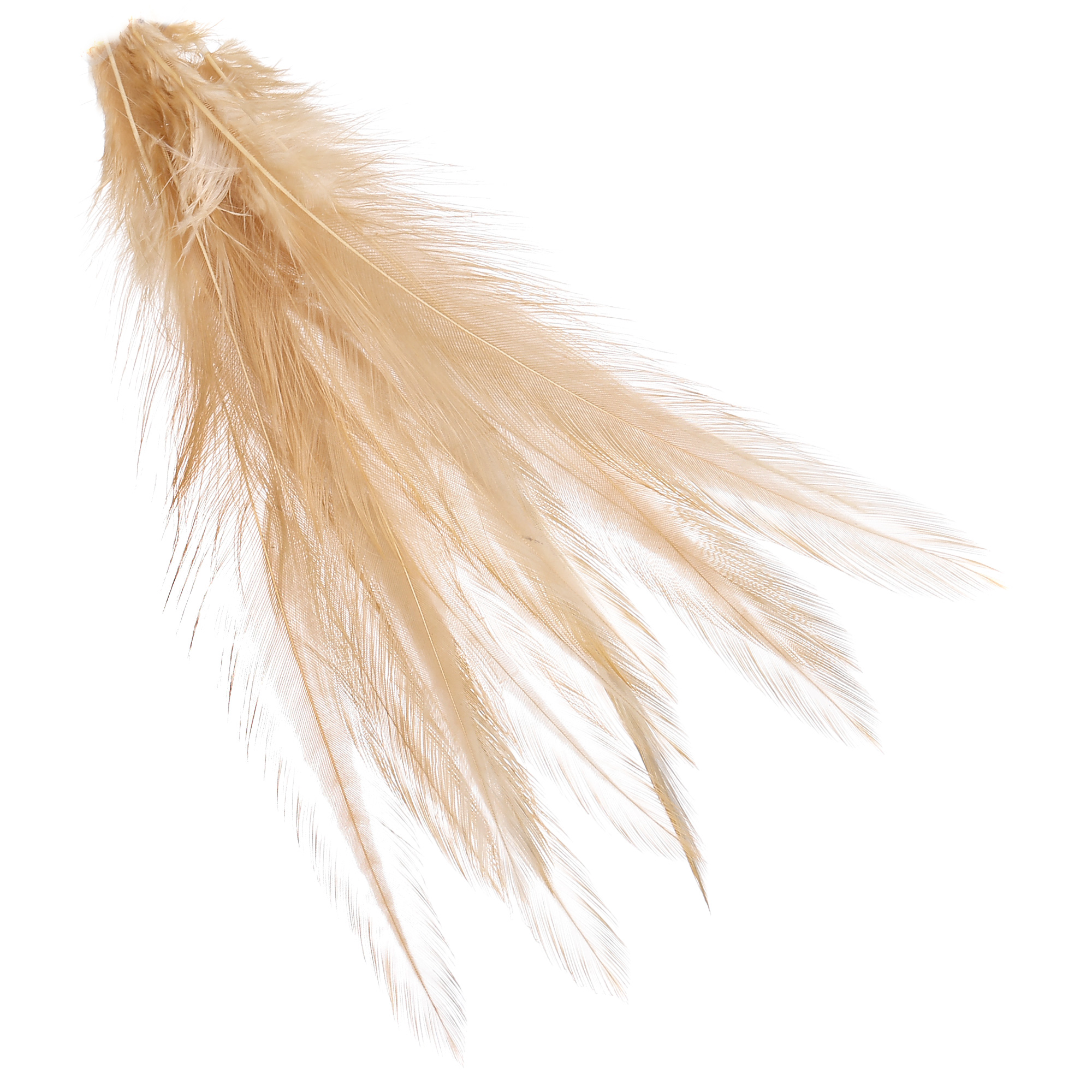 Wapsi Dry Fly Neck Hackle Mini Pack medium #12 - #14