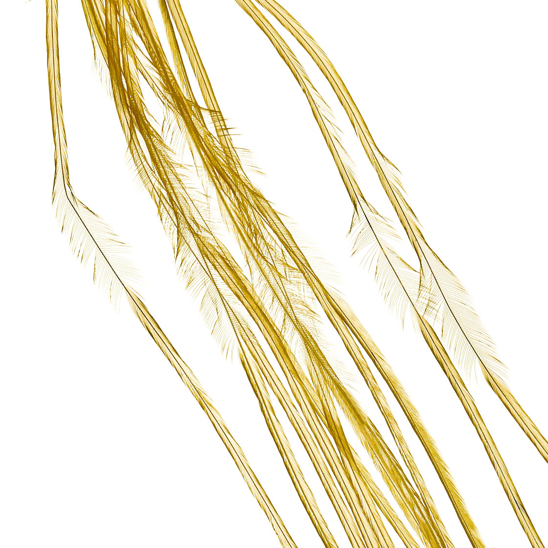 P-25414-5_Whiting-100-Pk-Size-22_white-dyed-pale-morning-dun white dyed pale morning dun