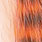 peach/hot orange