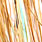 golden peral