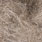 light hares ear