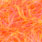 fluo coral