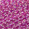 18 purple