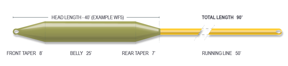 P-21434_Airflo_Forge_Fliegenschnur_FloatingTxMtsfW0ITvMg Beispielabbildung - Farbe abweichend