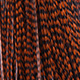 grizzly dyed brown