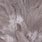 white dyed heron gray