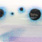 DM 0214 blaue Punkte