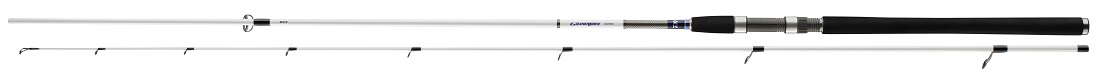 Daiwa Grandwave Seatrout Spinnrute