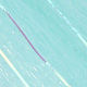 needlefish