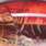 real brown crawfish