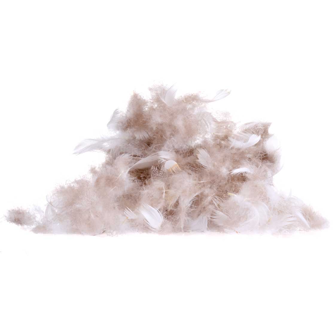 Veniard Wigeon Breast Maracea Washed Mixed Natural 2g Pack