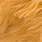 ginger